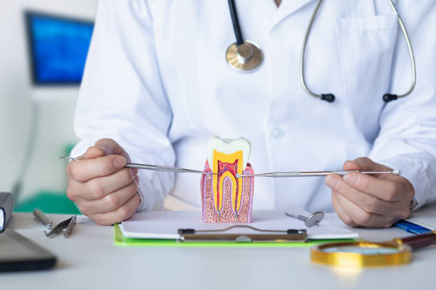 Best Emergency Wisdom Teeth Removal in New Whiteland, IN